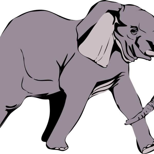 Anonymous Architetto    Elefante in corsa  2  Thumbnail