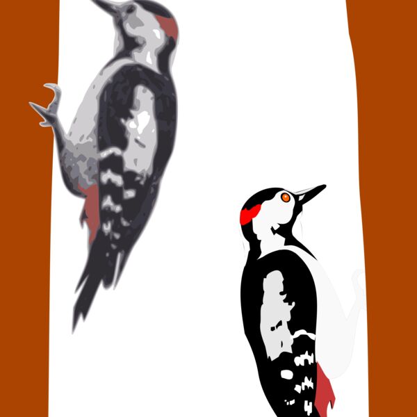 woodpecker Thumbnail