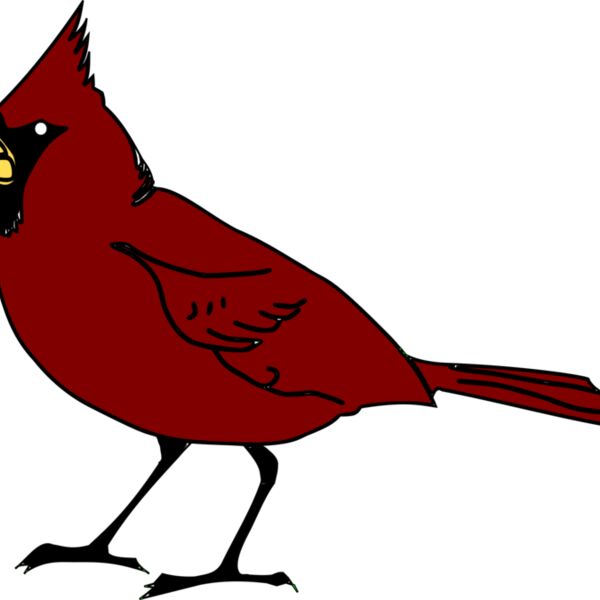 RobGTX Cardinal Thumbnail