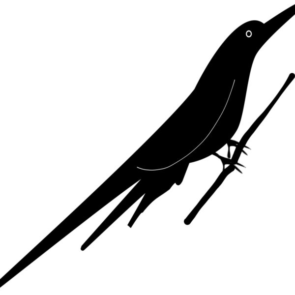 bird  6  Thumbnail
