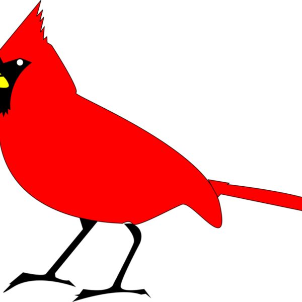 RobGTX Cardinal remix 2 plain Thumbnail