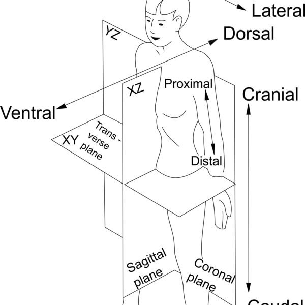 1299203130  2  Thumbnail