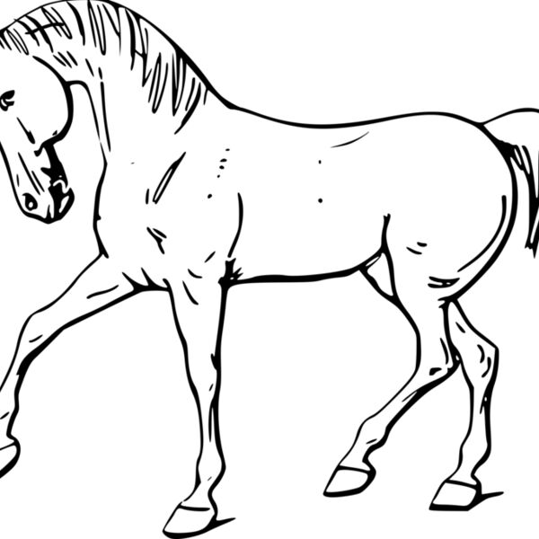 warszawianka Walking horse outline Thumbnail