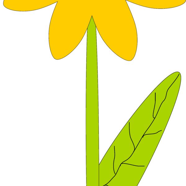 Machovka flower Thumbnail