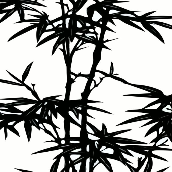 25022b99  2  Thumbnail