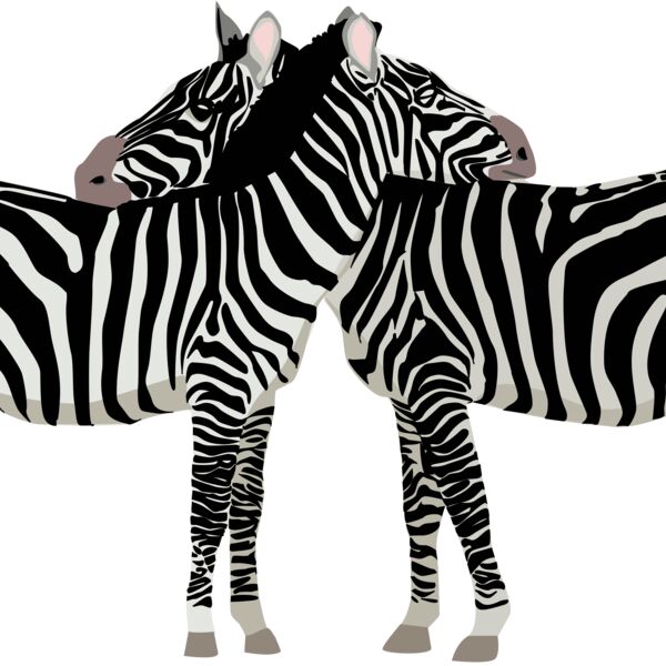 zebras Thumbnail