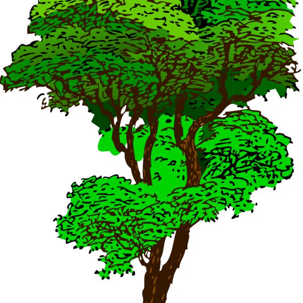 tree colorized 001 Thumbnail