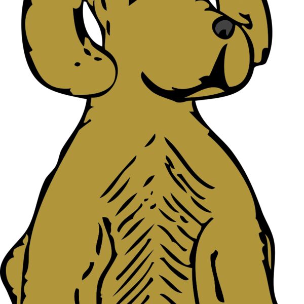 johnny automatic dog front view Thumbnail