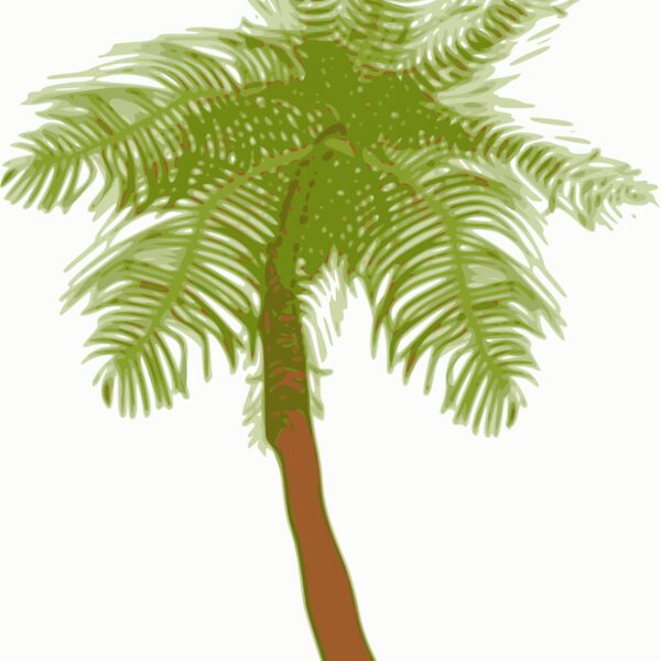 biswajyotim Coconut tree  2  Thumbnail