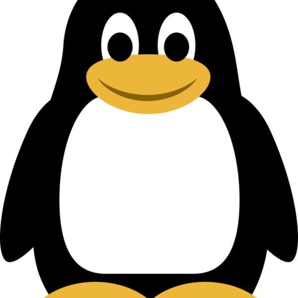 penguin  1  Thumbnail