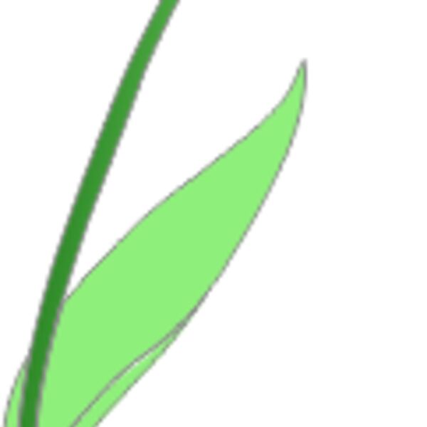 1358848836  2  Thumbnail