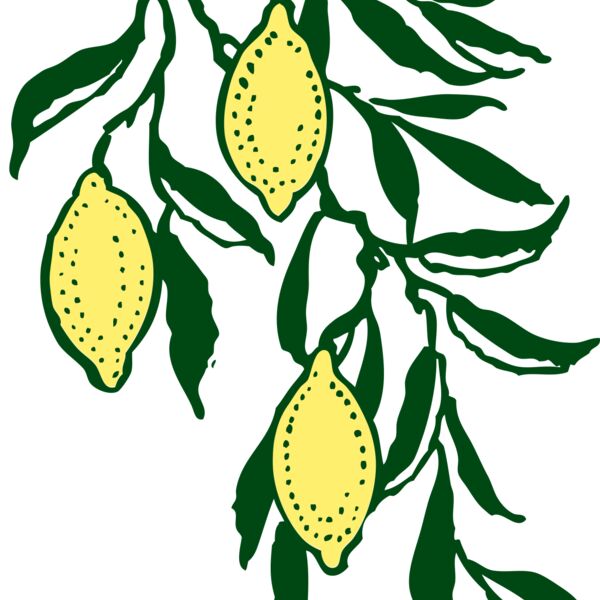 johnny automatic lemon branch Thumbnail