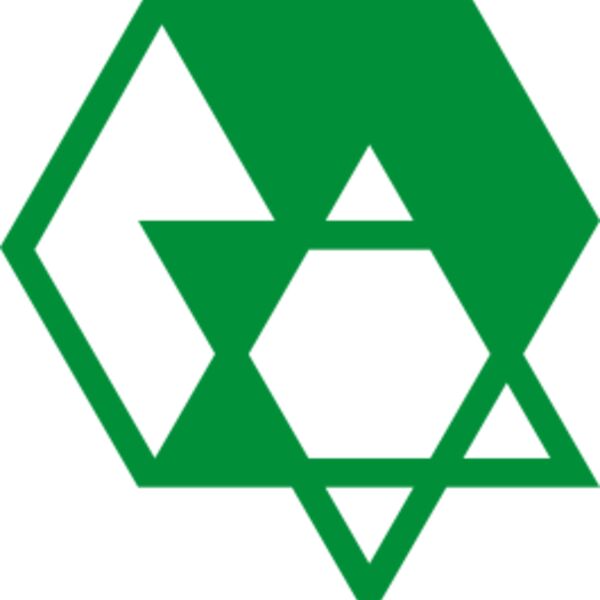 logo star 02 Thumbnail