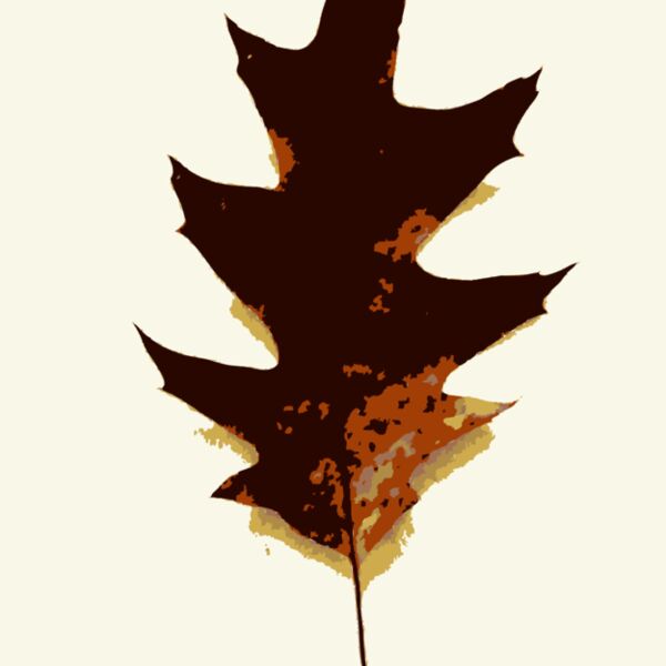 More fall tree leaves 2 Thumbnail