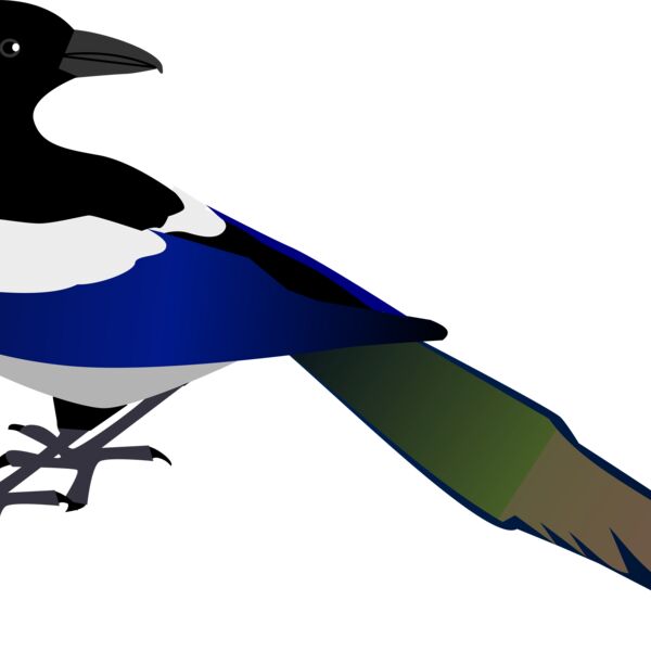 zeimusu Magpie Thumbnail