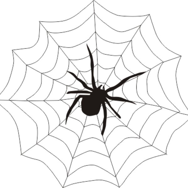 spider web Thumbnail