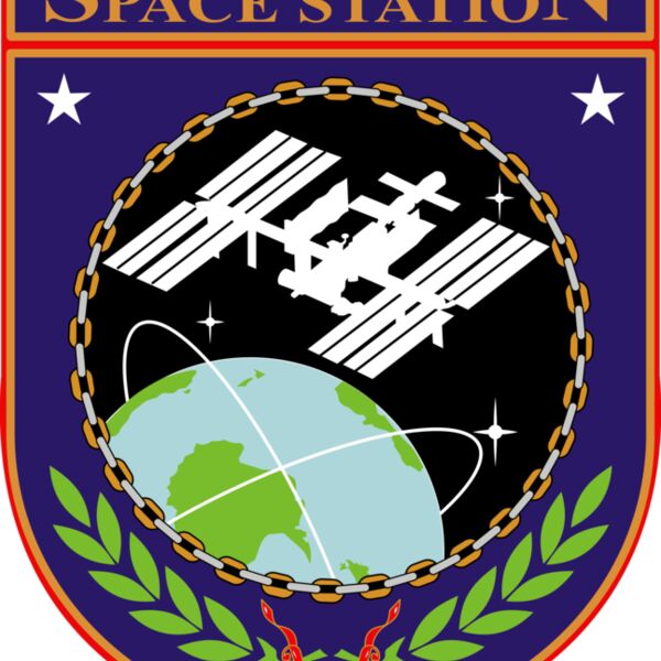 ISS Insignia Thumbnail