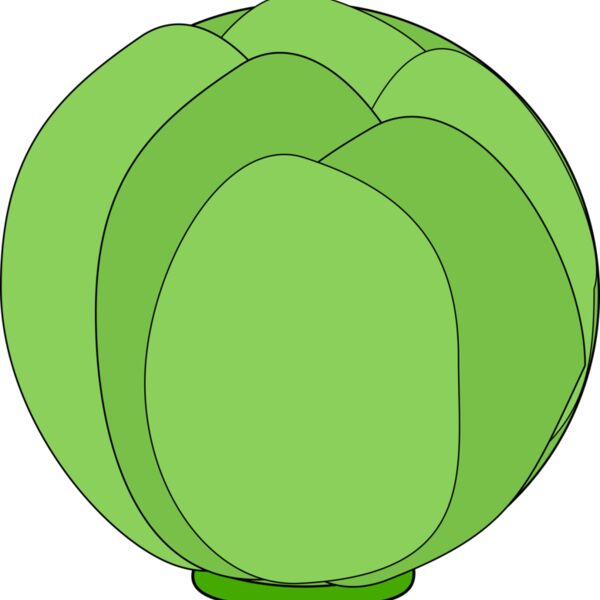 Machovka cabbage Thumbnail