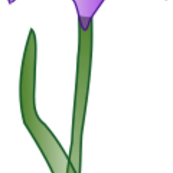 missiridia Iris Thumbnail