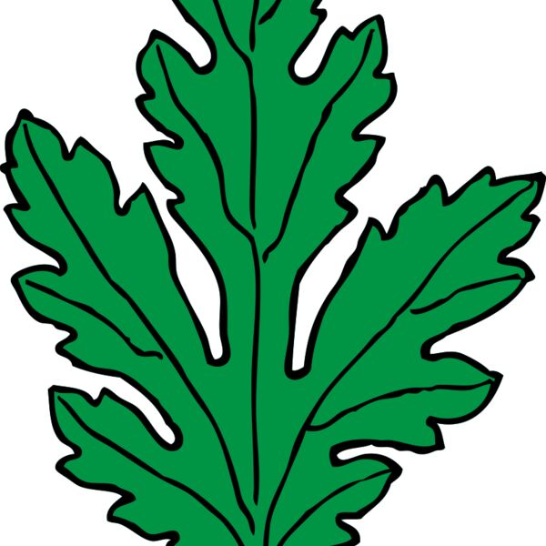 johnny automatic chrysanthemum leaf Thumbnail