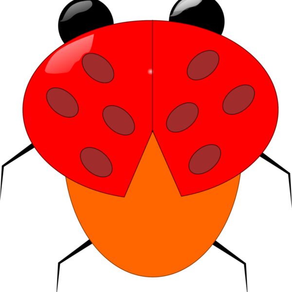 ladybeetle Thumbnail