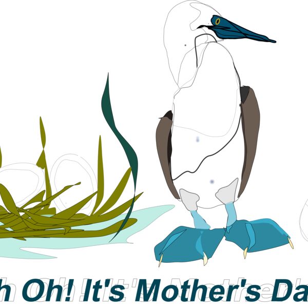 Reedabadeeda Sea Bird Thumbnail