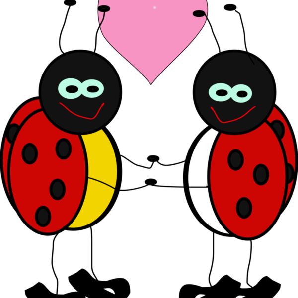 Machovka lady bugs Thumbnail