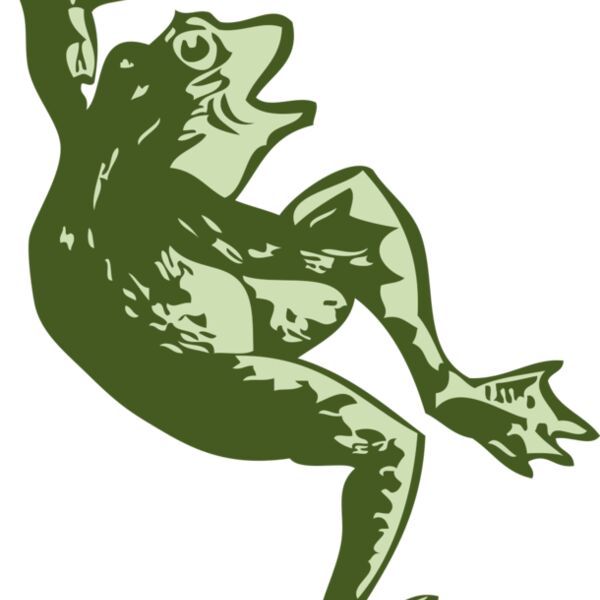 johnny automatic dancing frog Thumbnail