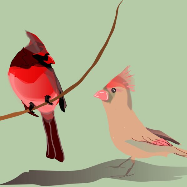 Reedabadeeda It Must Be Love  Thumbnail