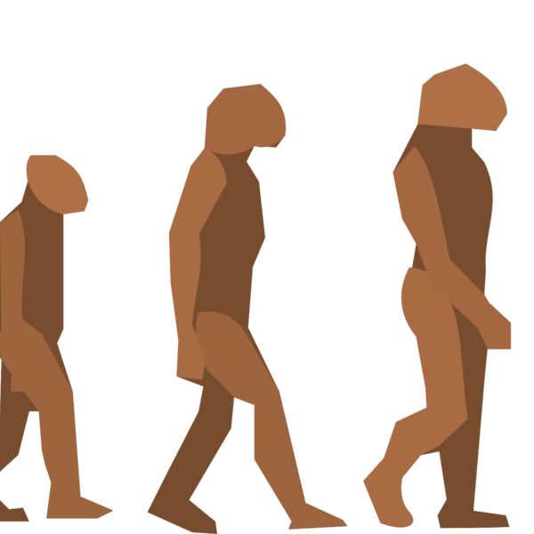 Anonymous evolution steps Thumbnail