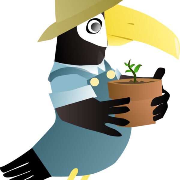 toucan jardin Thumbnail