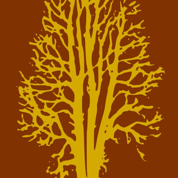 beechtree 2col ry  2  Thumbnail