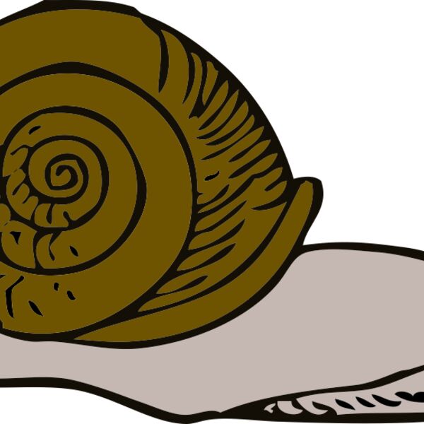 johnny automatic snail 2 Thumbnail