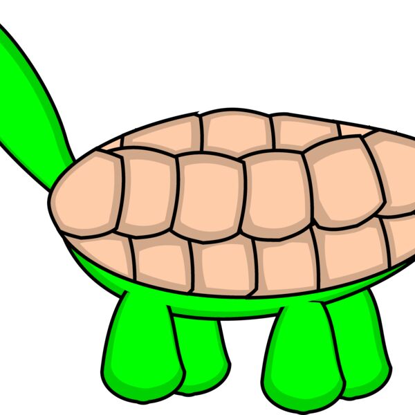 tortoise stage6 Thumbnail