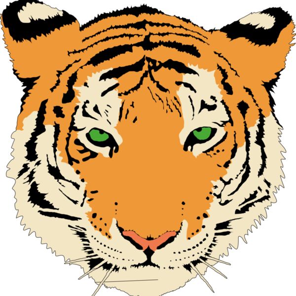 Anonymous Tiger  2  Thumbnail
