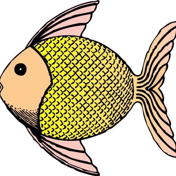 johnny automatic tropical fish Thumbnail