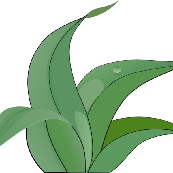 martinix leaves Thumbnail