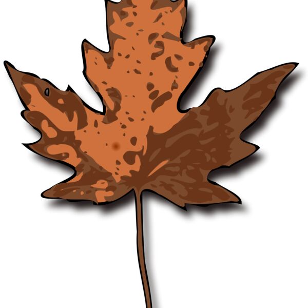 jimmiet Maple Leaf Thumbnail
