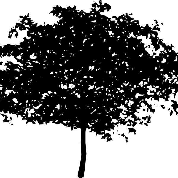 tree8 Thumbnail