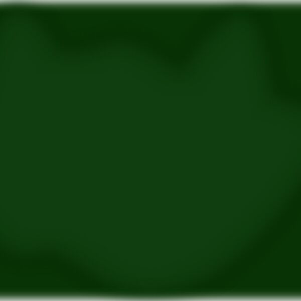 wsnaccad Philippine Eagle 1 Thumbnail