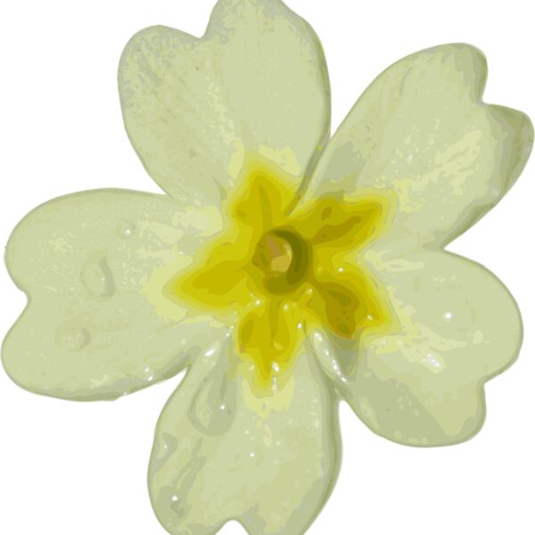 yves guillou flower 10 Thumbnail