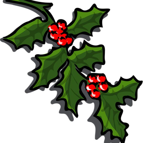 TheresaKnott holly Thumbnail