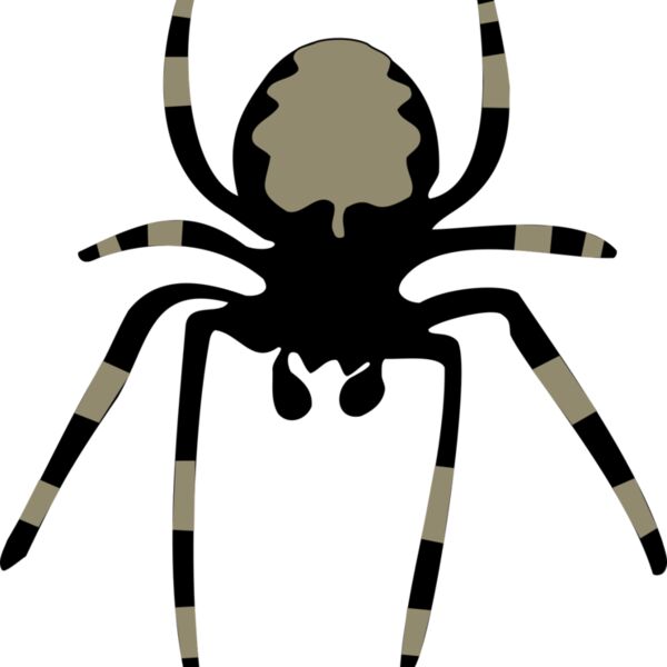 spider Thumbnail