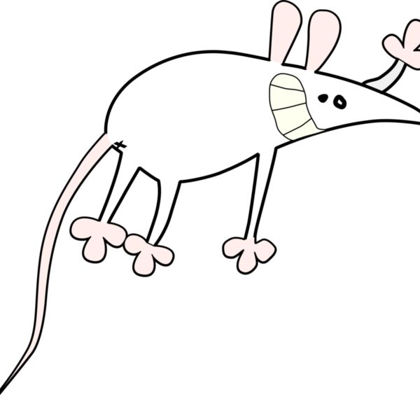 vcollet Mouse Thumbnail