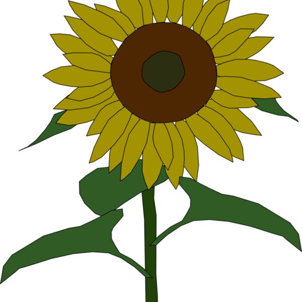 Machovka sunflower Thumbnail