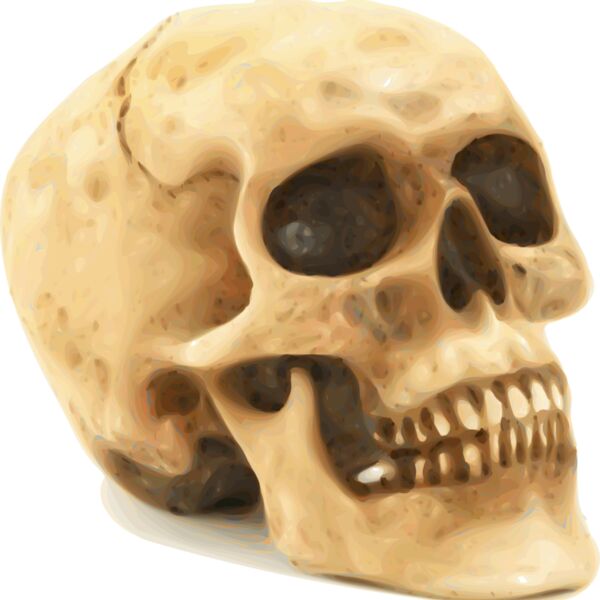 1349556820  2  Thumbnail