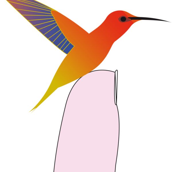 hummingbird Thumbnail