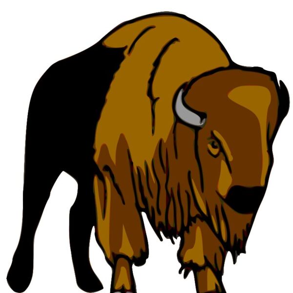 bison leif lodahl 01  2  Thumbnail