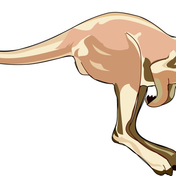 Anonymous Architetto    Canguro Thumbnail