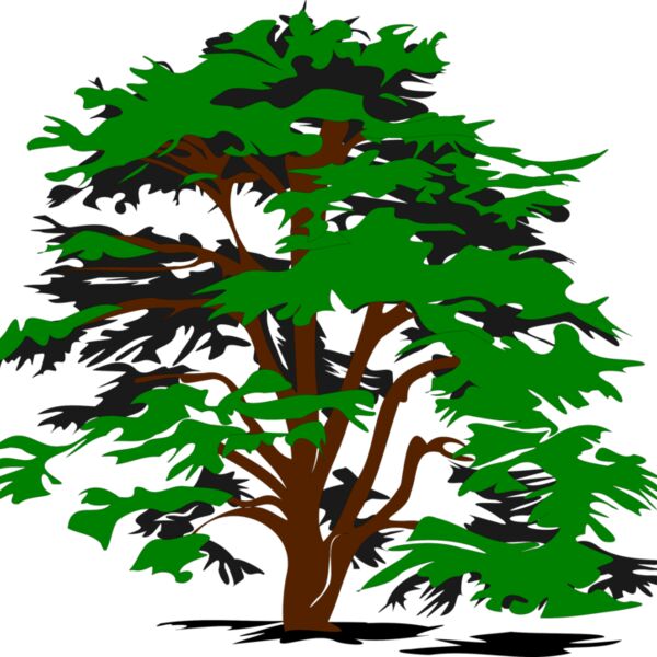 bobocal simple vector tree  2  Thumbnail